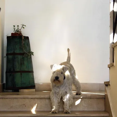 Pisak 1070e アパート *